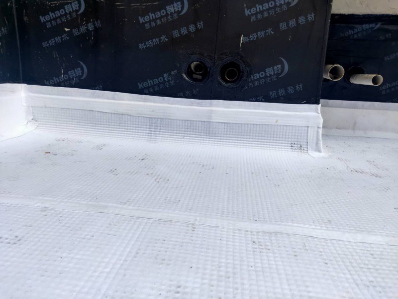 1642475741976470.jpg 1740061161345.jpg